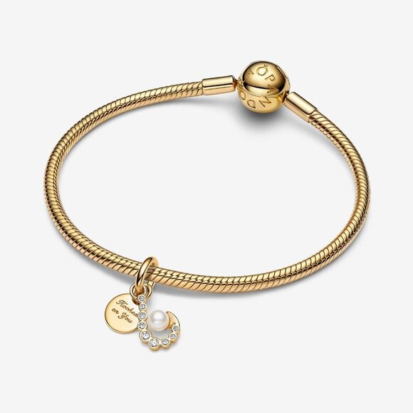 Womens 14k Gold Plating Hook That Shine Bright Sparkling Cubic Zirconia Bracelet - Picture 1 of 5